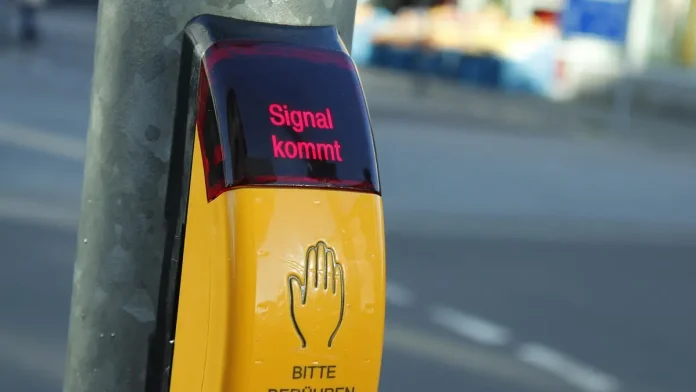 gailan brokuł chiński pochodzi gailan brokuł chiński pochodzi